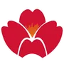 Qingdao Airlines