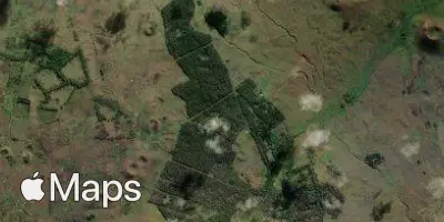 Satellite